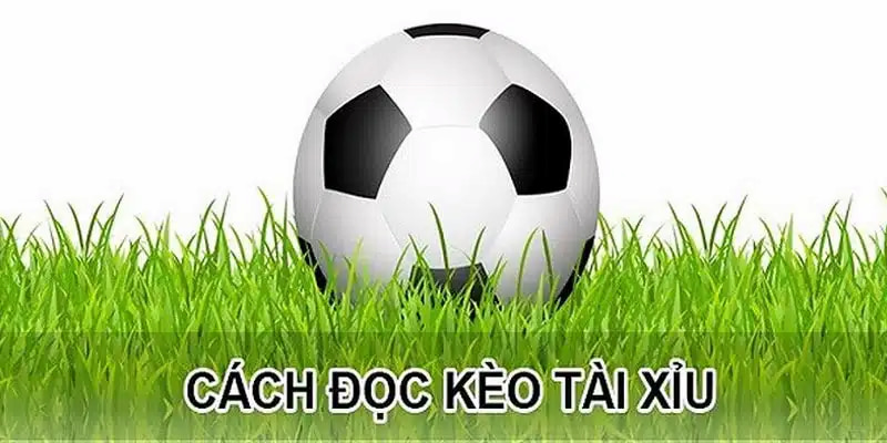 Cách đọc kèo tài xỉu